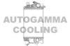 AUTOGAMMA 105679 Intercooler, charger